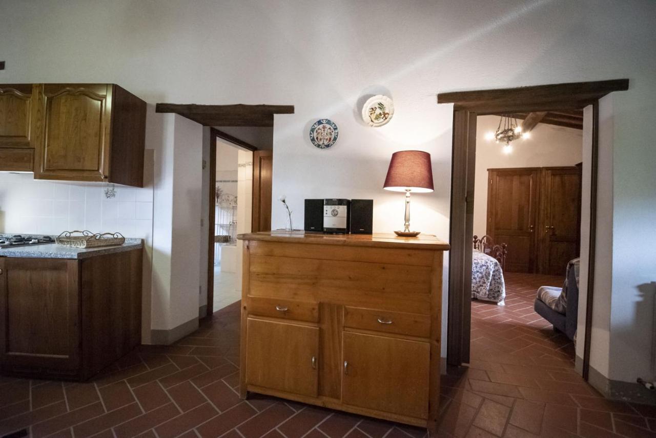 Casa Selvolini - Volpaia Apartamento Radda in Chianti Exterior foto